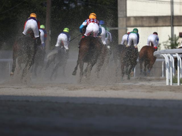 【笠松・撫子争覇結果】エイシンジョルトが連勝で重賞初制覇