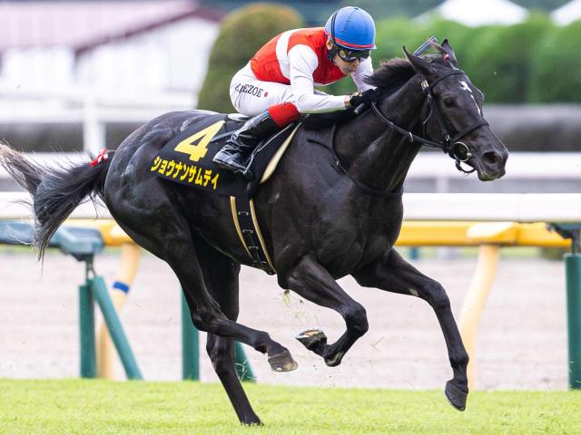 【札幌日刊スポーツ杯】母はジャパンC制覇の名牝 ショウナンサムデイが連勝狙う