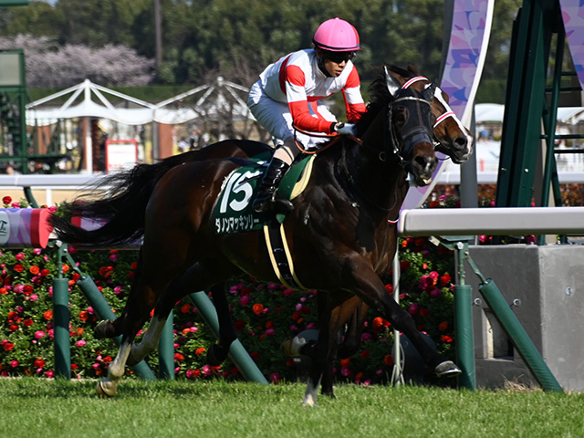 「ウマ娘」藤田晋オーナーの1.6億円馬 カモンメーンがデビュー勝ちなるか