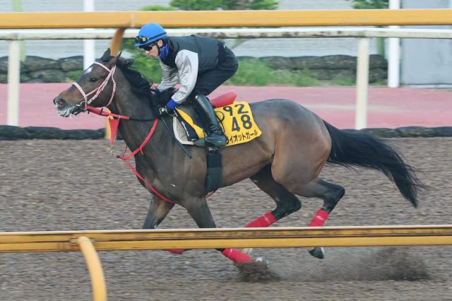 【ブリーダーズGC】4番人気ライオットガールが差し切り重賞4勝目　岩田望来騎手「馬も自信を取り戻せたのでは」