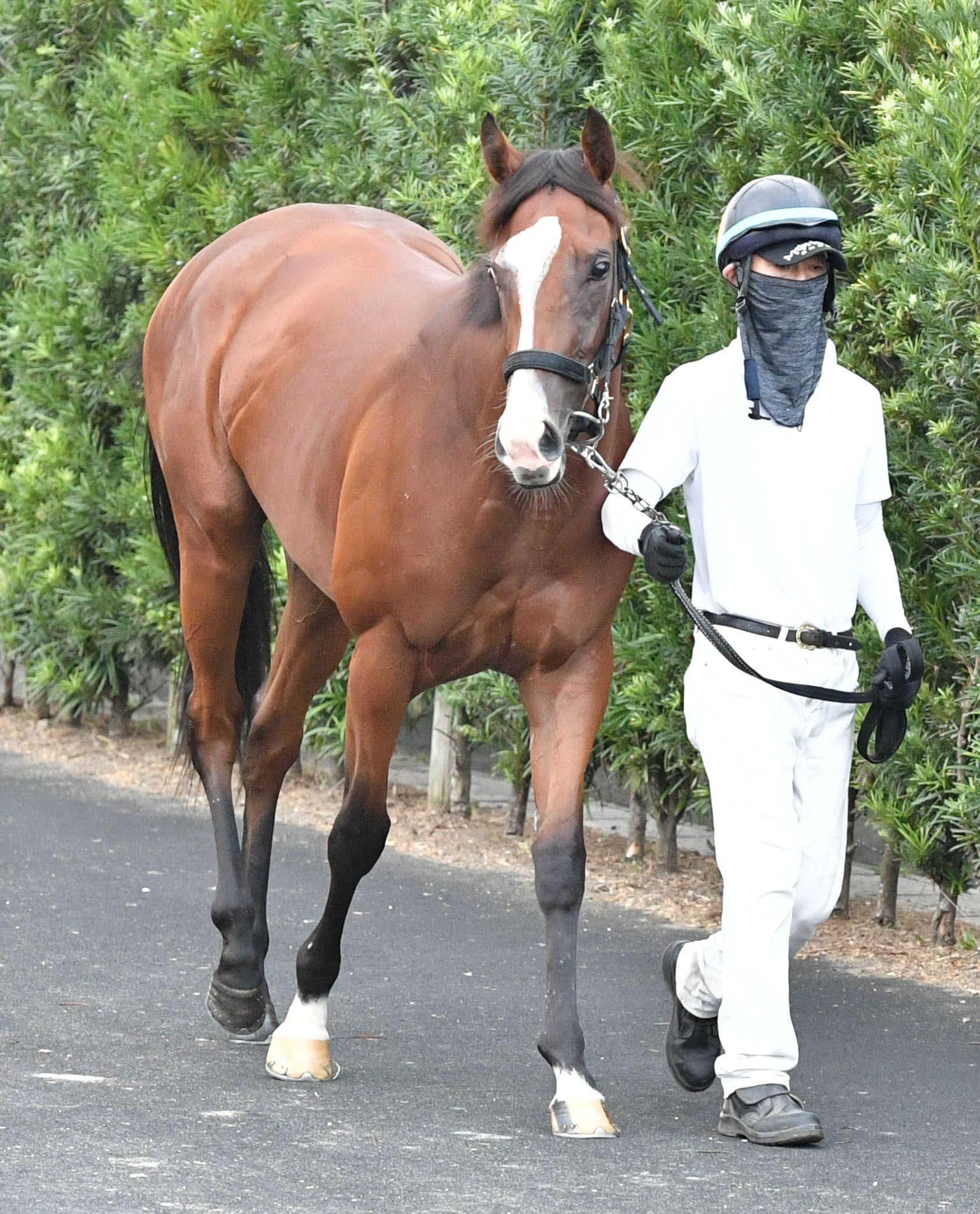 【新馬戦】ガローファノ　軽やかな動き　黒岩師「まだ伸びしろがあるなかでしっかりと動けていた」と素質評価