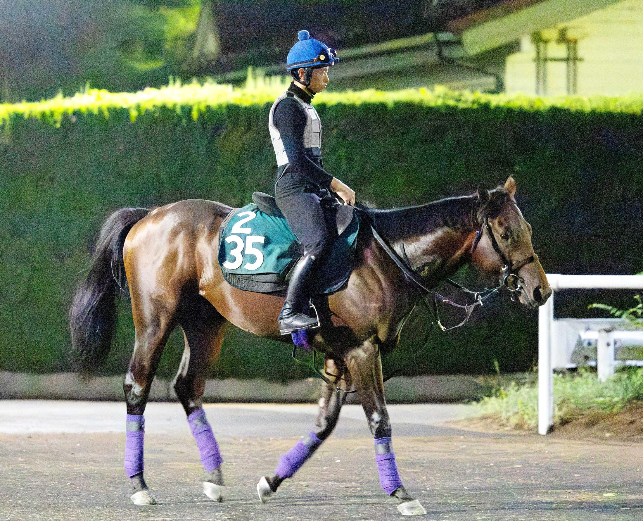 【新馬戦】ジョーカー　仕上がり良好！姉はＧ１で２着のビップデイジー　岩田望「芝の動きが思ったより良かった」