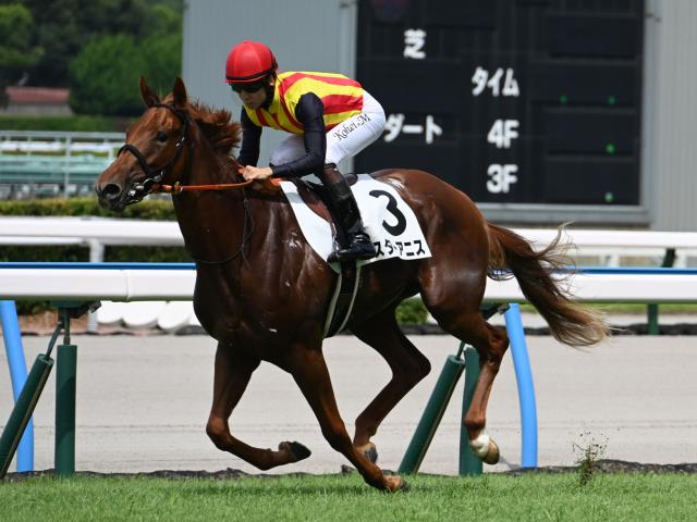 【中京2歳S枠順確定】スターアニスは5枠7番、マイケルバローズは2枠2番