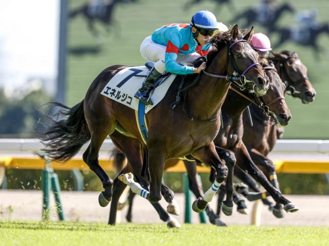 【新潟記念枠順確定】エネルジコは8枠15番、クイーンズウォークは3枠6番