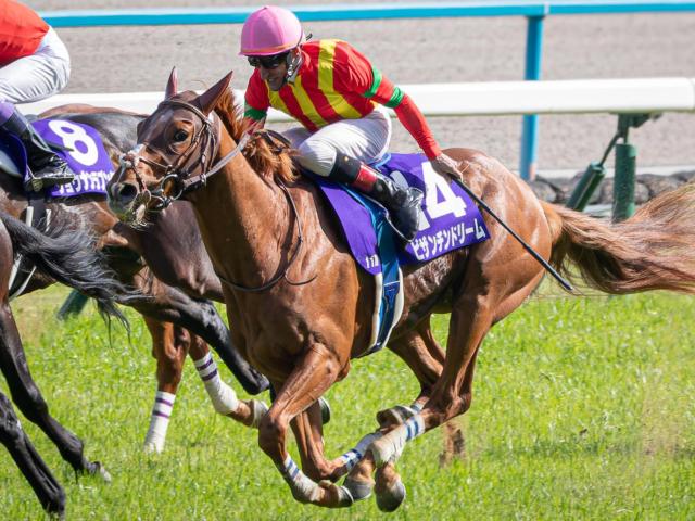 今年はビザンチンドリームが参戦 フォワ賞を勝った日本馬を振り返る