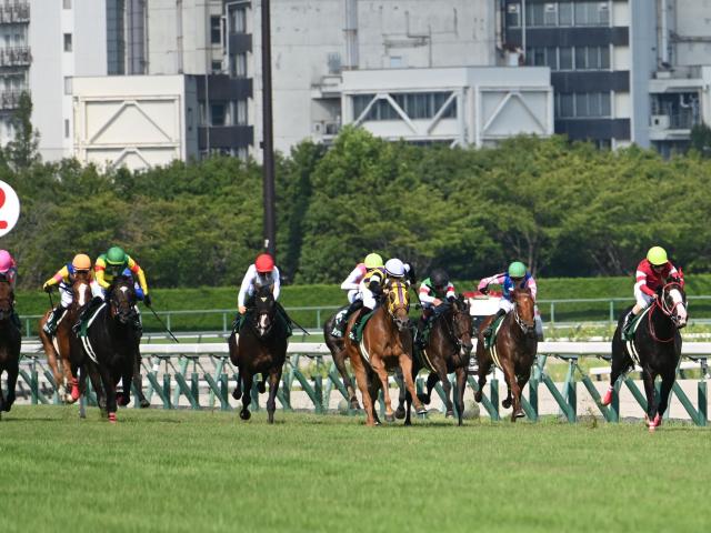 今週末の中京競馬でパドック周回時間を短縮 JRAが暑熱対策を発表