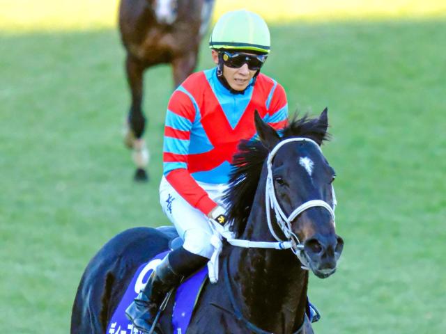 全兄は「GI未勝利の賞金王」ディープボンド ロゼアがデビュー勝ちなるか