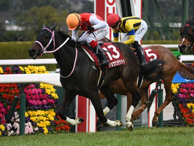 【有力馬動向】ショウナンザナドゥはセントウルSへ 春GIは不本意な結果もリフレッシュ成功/馬三郎のつぶやき