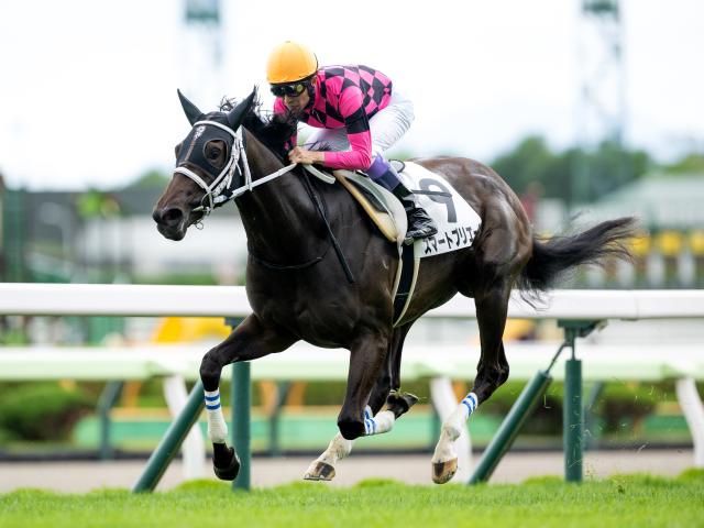 【POG】奥手の血統でも「完成度が高い」スマートプリエール 武豊の手綱で重賞獲りへ/馬三郎のつぶやき