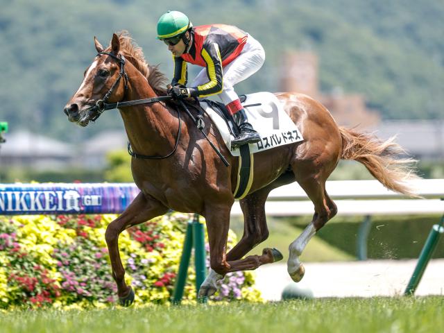 【札幌2歳S想定馬・騎手】ロスパレドネス、スマートプリエールなど13頭