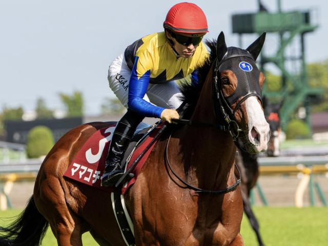 【セントウルS想定馬・騎手】ママコチャ、トウシンマカオなど15頭