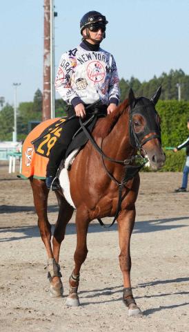 東京ダービー2着クレーキングは10・8ジャパンダートクラシック参戦へ
