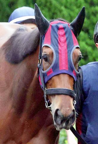 【注目馬動向】桜花賞馬エンブロイダリーは秋華賞へ直行　オークス9着以来