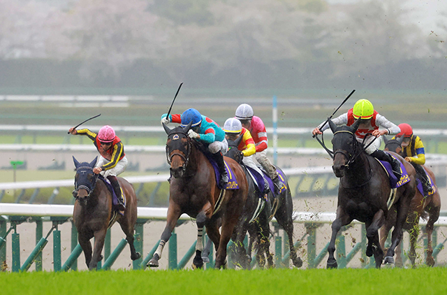 桜花賞馬エンブロイダリー　秋華賞を目標に調整へ　オークス９着後は休養中