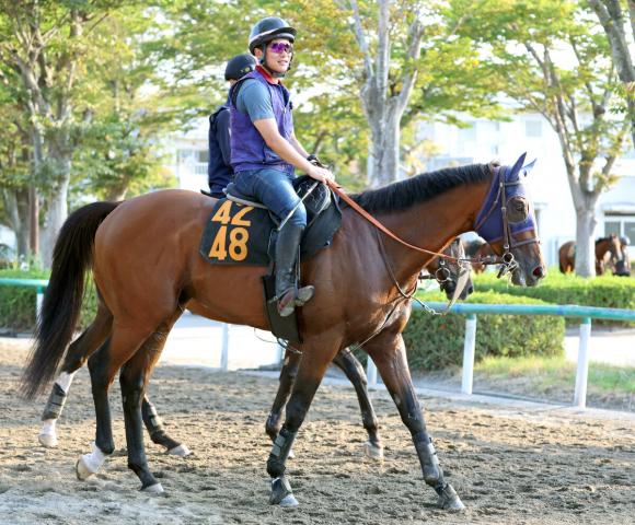【不来方賞】連勝中のナルカミは大外8枠12番　武豊騎手とコンビのメイショウズイウンは8枠11番　枠順確定
