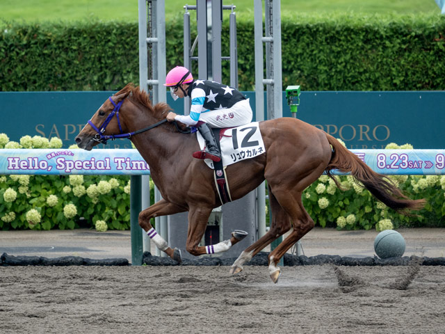 【札幌5R新馬戦結果】ドレフォン産駒リュウカルネが人気に応えて快勝