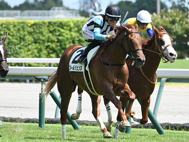 武豊騎手、ディープインパクト産駒で初勝利/京都新馬 | 競馬