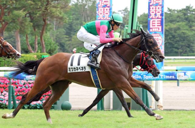 【新潟5R・2歳新馬】ミツカネベネラが差し切ってデビュー勝ち　津村明秀騎手「距離は延びても大丈夫」