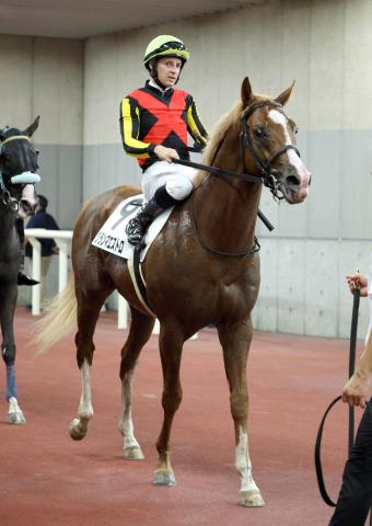 武豊騎手、ディープインパクト産駒で初勝利/京都新馬 | 競馬