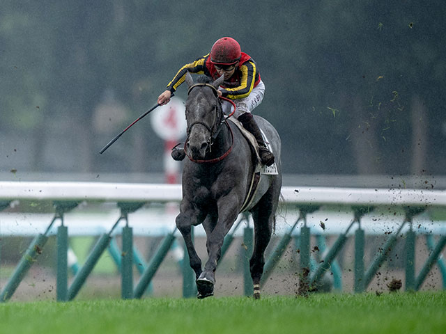 【2歳未勝利札幌2Rレース後コメント】ノチェセラーダ横山武史騎手ら