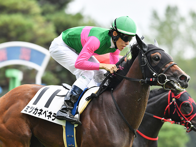 【メイクデビュー新潟5Rレース後コメント】ミツカネベネラ津村明秀騎手ら