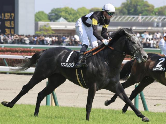 新潟芝は圧倒的に外枠有利 14番のアスクカムオンモアで勝負！
