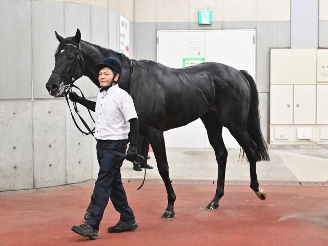【赤倉特別レース後コメント】アスクセクシーモア岩田望来騎手ら