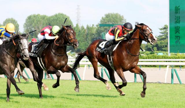 天皇賞・春】ヘデントール 振るわない菊花賞2着の4歳馬…24頭で2