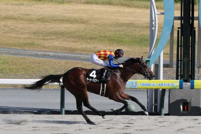 【名古屋城S】テーオーパスワード　3馬身差の快勝で通算4勝目　初コンビの松山「切れ味は凄かった」