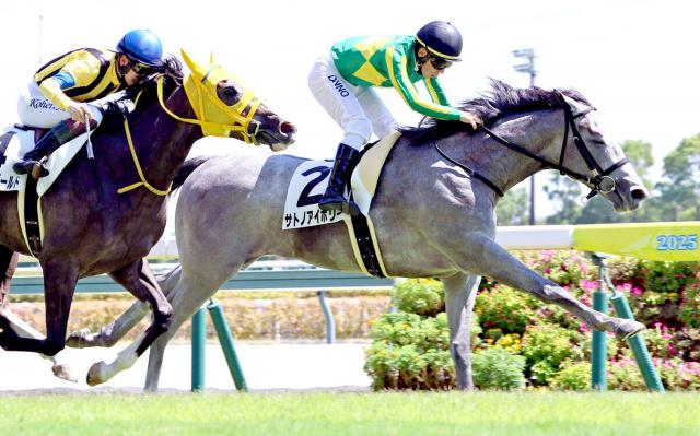 【中京5R・2歳新馬】サトノアイボリーがホエールキャプチャの子で初の新馬V　団野大成騎手「次もいい感じでいける」