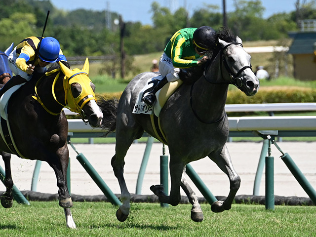 【中京5R新馬戦結果】サトノアイボリーが追い比べを制す 母はホエールキャプチャ