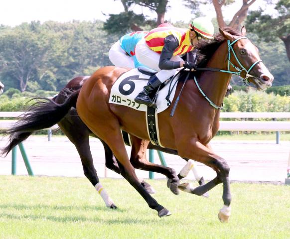 【新潟5R・2歳新馬】半兄は重賞2勝馬　ガローファノが上がり最速でデビュー勝ち　戸崎圭太騎手「グーンと伸びた」