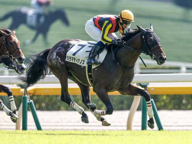 【京成杯AH】カラマティアノス、コントラポストらが登録