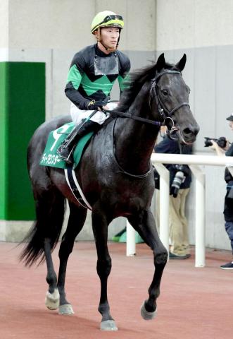 【新潟記念】3着争いは鼻差で7番人気の7歳馬ディープモンスター　菅原明良騎手「しまいはよく伸びた」