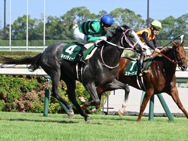 【中京2歳S結果】キャンディードが無傷2連勝、2歳日本レコードで重賞V！