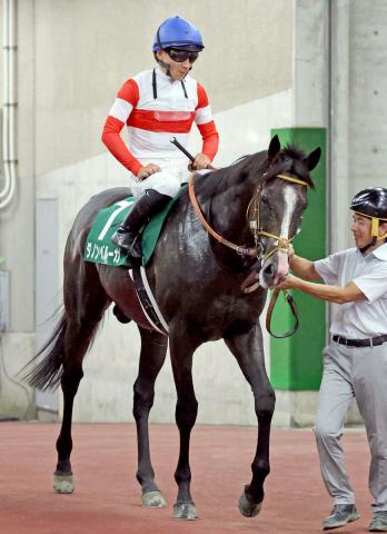 【新潟記念】有馬記念以来のダノンベルーガは13着に沈む　佐々木大輔騎手「頭を上げて苦しく逃げているそぶり」