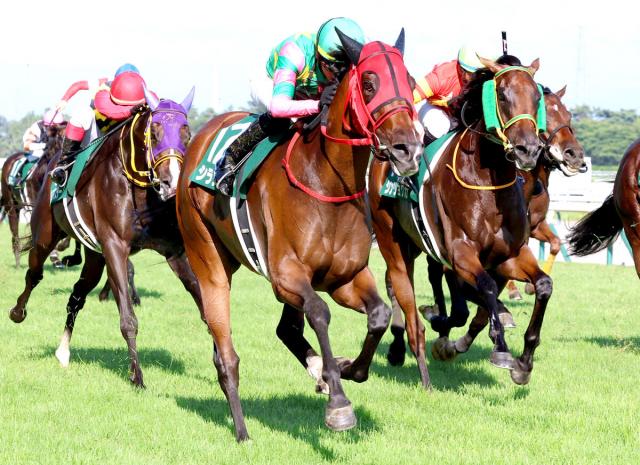 【新潟記念】シランケドが外から「爆発的な脚」で差し切って重賞2勝目　テン乗り坂井瑠星騎手が高評価