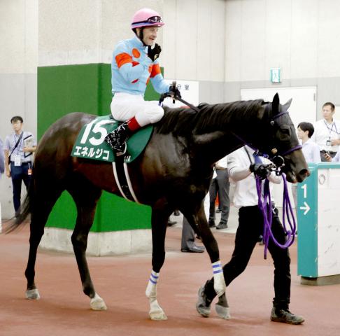 【新潟記念】唯一の3歳エネルジコが半馬身差2着　初黒星もルメール騎手評価「重賞レベルでも」