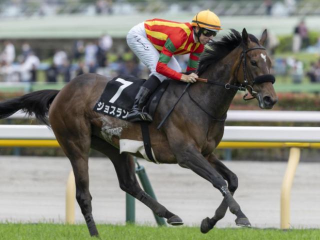 【紫苑S】全兄はGI・3勝のエフフォーリア ジョスランが重賞初制覇なるか