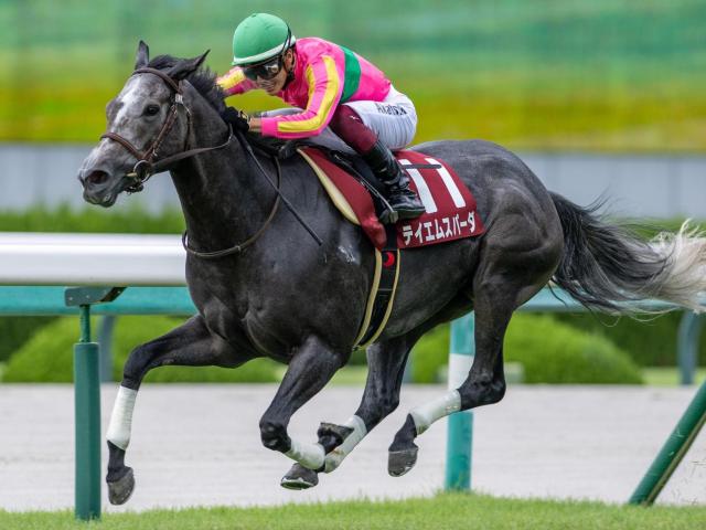 【セントウルS】2年前の覇者テイエムスパーダ 史上3頭目の2勝目なるか