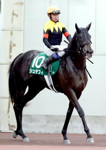 【中京2歳S】「直線も伸びてくれた」シュテフィが6着　岩田康誠騎手「経験を積んでいけば」今後に期待