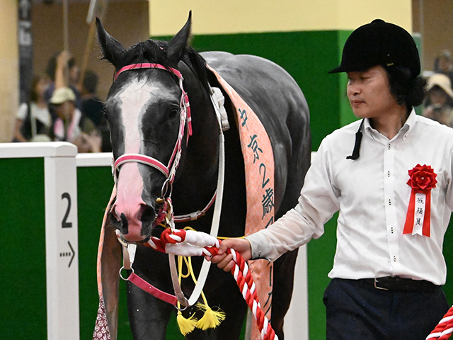 【中京2歳Sレース後コメント】キャンディード北村友一騎手ら