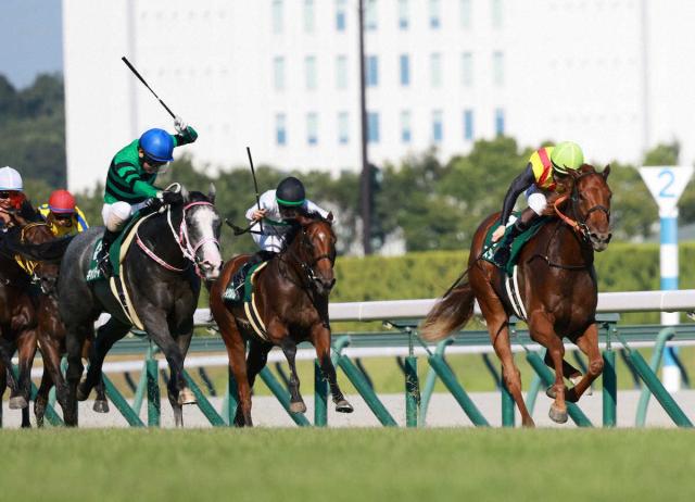 ���2��S�������������ǥ����ɡʱ�����3Ƭ�ܡˡʻ��ơ���������ס�