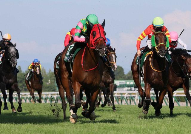 【新潟記念】2着エネルジコにルメール「休み明けでもいいレースをしてくれた」