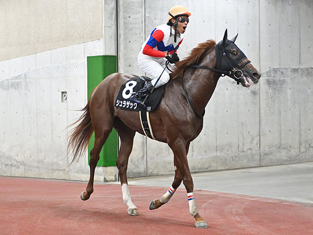 【両津湾特別レース後コメント】シュラザック古川吉洋騎手ら