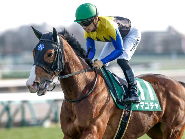 秋競馬が開幕！紫苑S・セントウルSなど4重賞/今週の競馬界の見どころ
