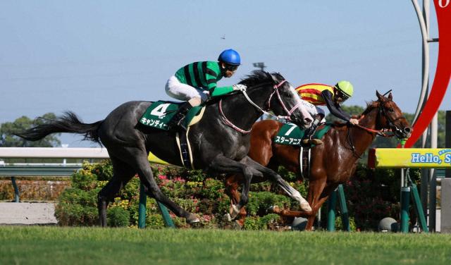 【中京2歳S】スターアニス　断然人気も首差2着　松山弘平「勝ち馬の切れが凄くて、強かったです」