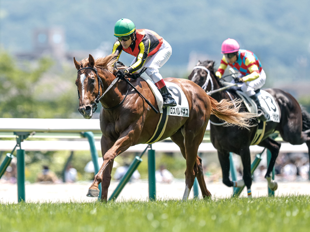 【札幌2歳S見どころ】良血ロスパレドネスの連勝に期待