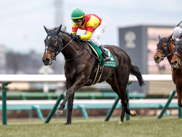 【京成杯AH見どころ】素質高い3歳牝馬エリカエクスプレスが巻き返す