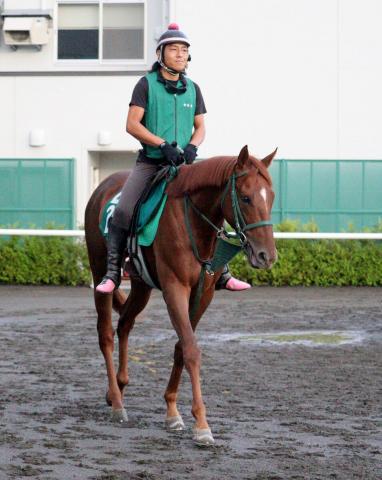 【札幌2歳S】函館で新馬勝ちのアーレムアレスは上積み十分　陣営「新馬向きではないと思っていましたけど…」